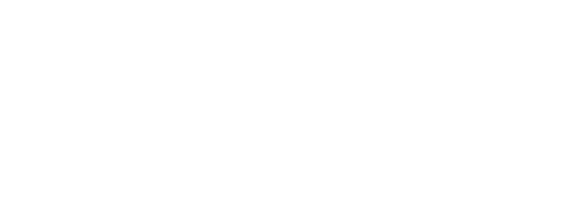 logo2-9-white